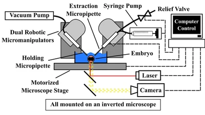 Single Cell Manipulation featured image